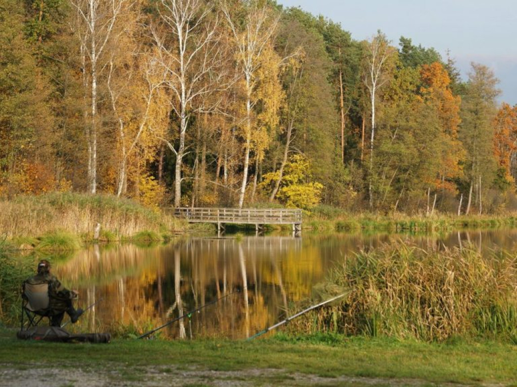 Ścieżka przyrodnicza Bobrówka - zdjęcia