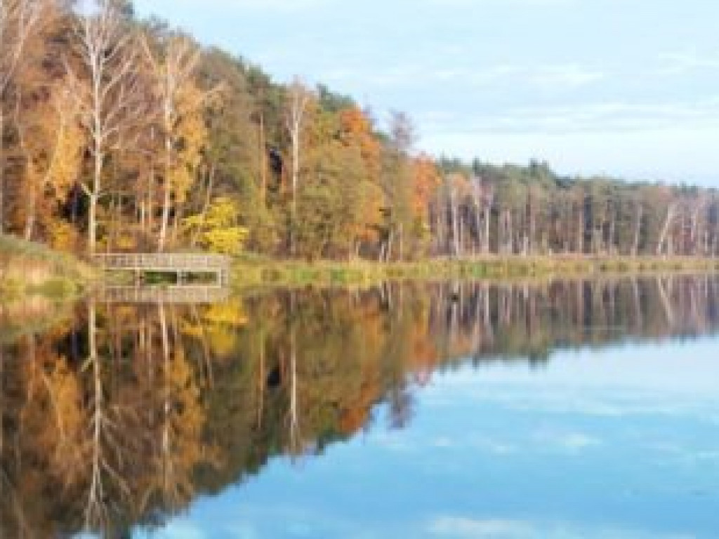 Ścieżka przyrodnicza Bobrówka - zdjęcia