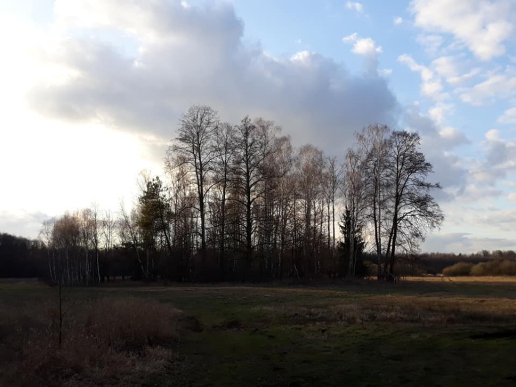 Plenery powiatu radzyńskiego