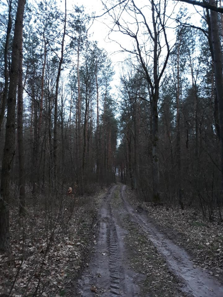 Plenery powiatu radzyńskiego