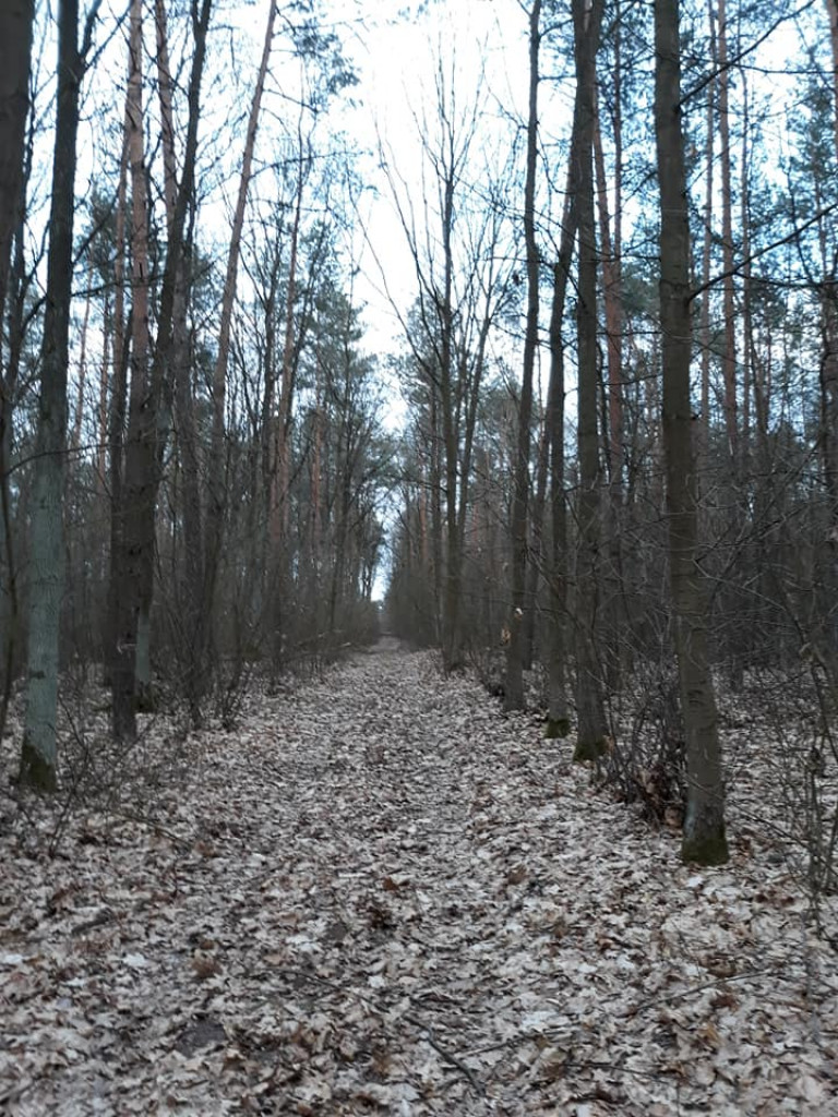 Plenery powiatu radzyńskiego