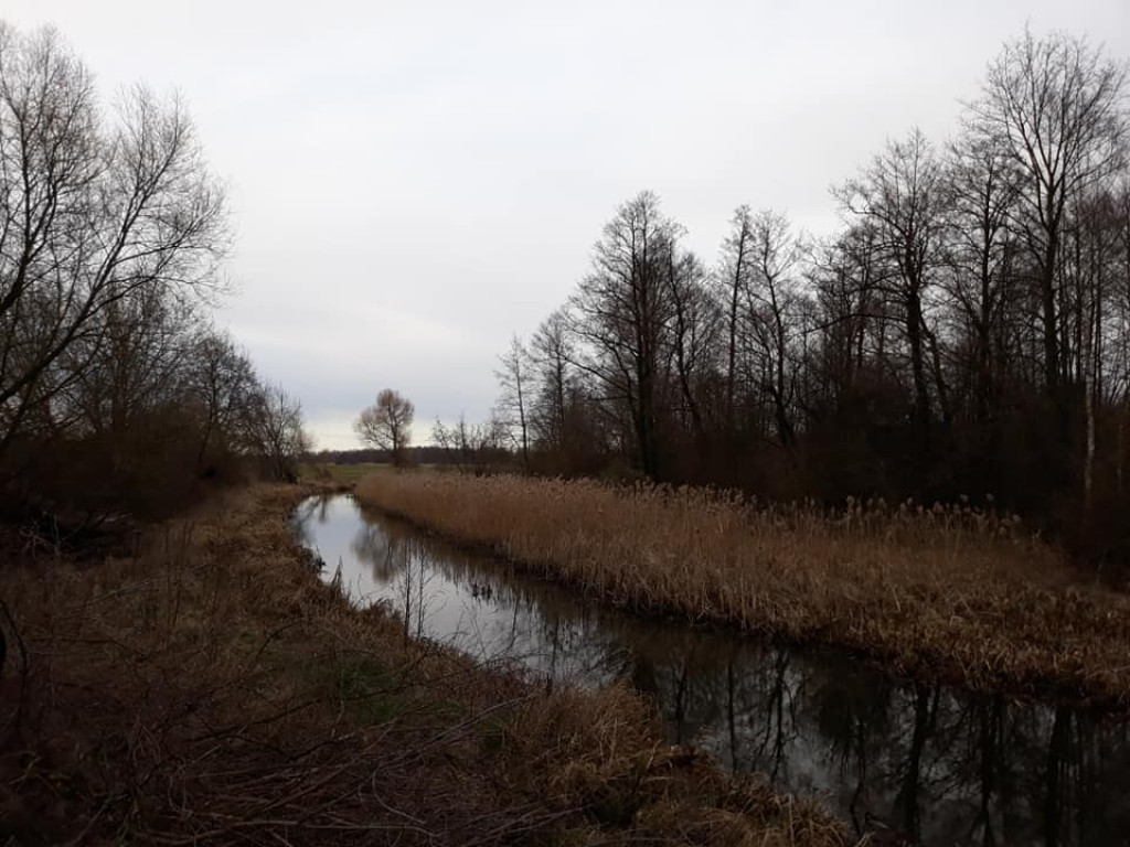 Plenery powiatu radzyńskiego