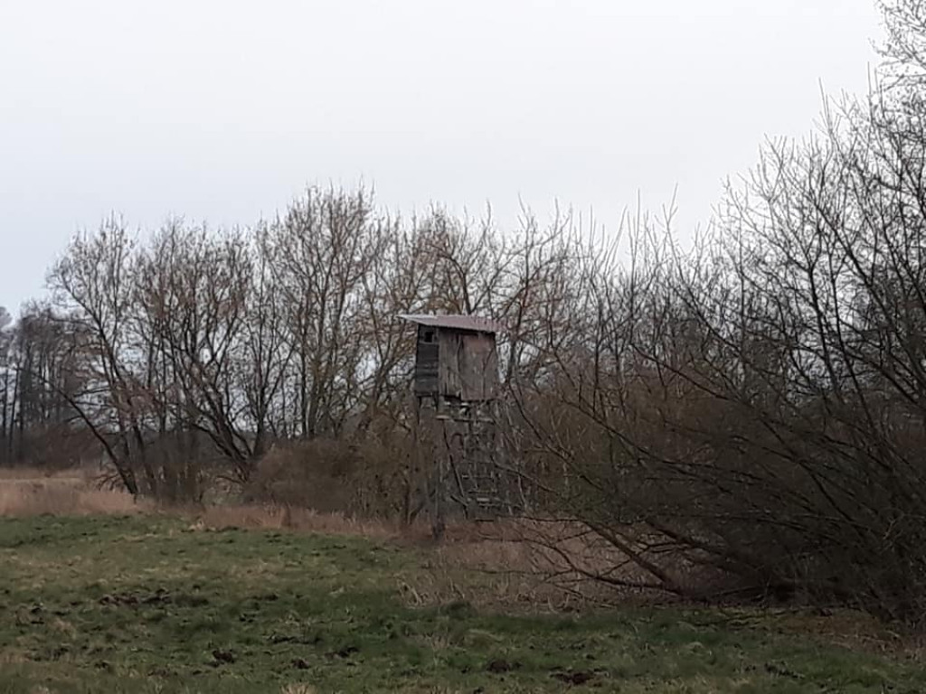 Plenery powiatu radzyńskiego