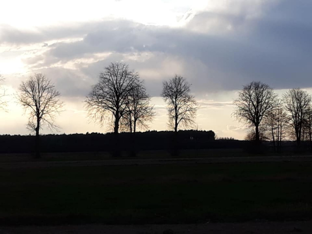 Plenery powiatu radzyńskiego
