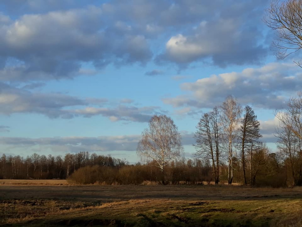 Plenery powiatu radzyńskiego