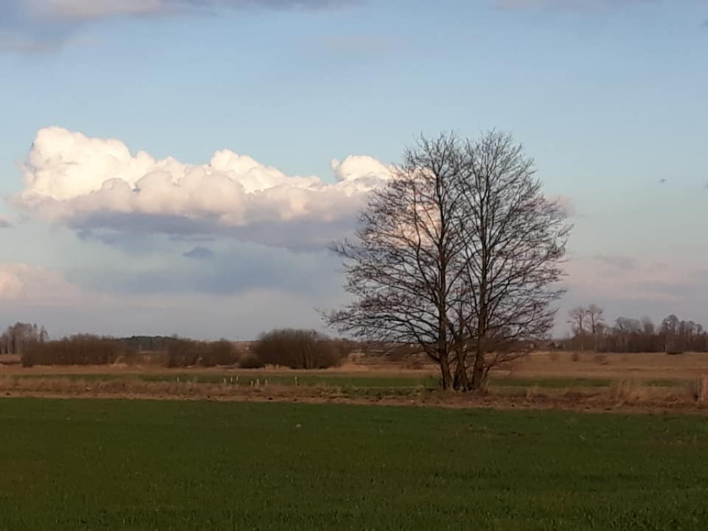 Plenery powiatu radzyńskiego