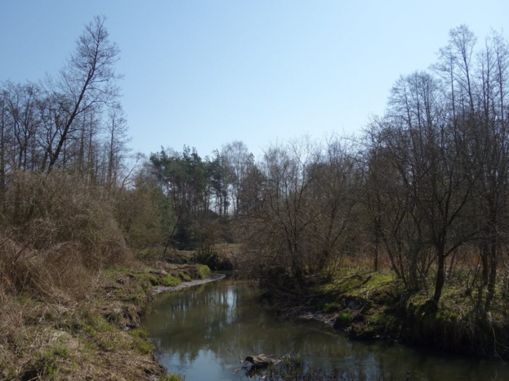 Plenery powiatu radzyńskiego