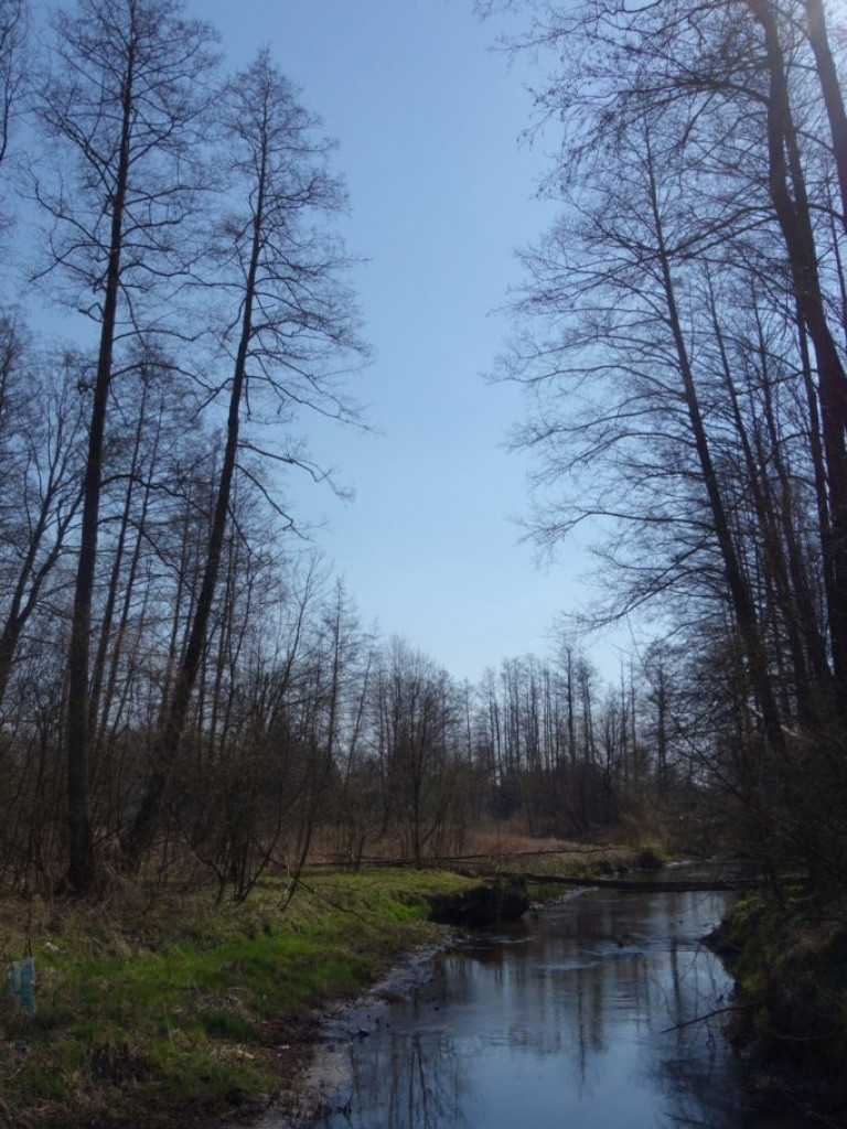 Plenery powiatu radzyńskiego