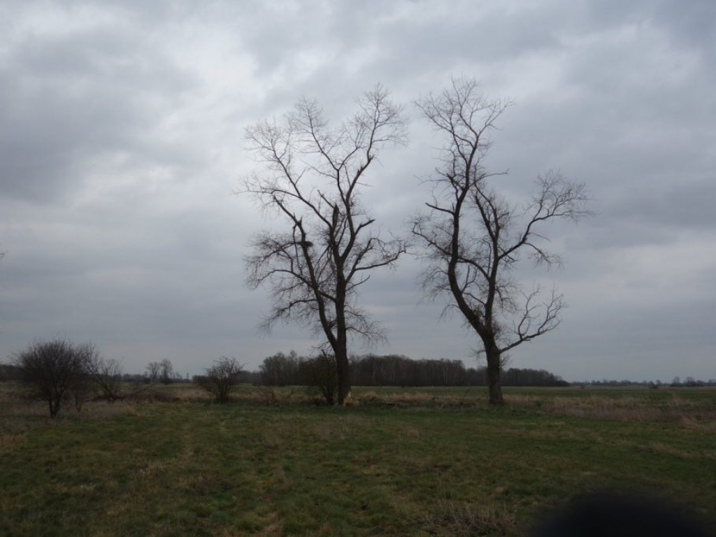 Plenery powiatu radzyńskiego