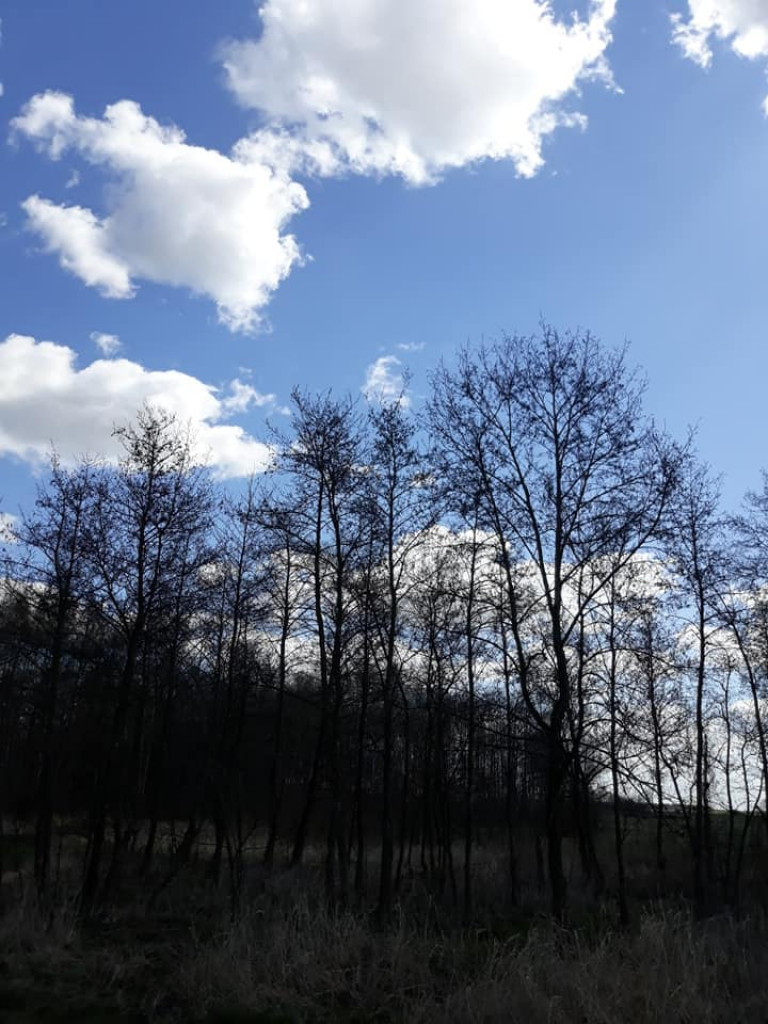 Plenery powiatu radzyńskiego