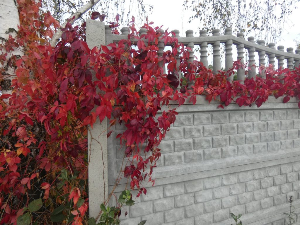 Październikowe wycieczki Radzyńskiej Grupy Rowerowej