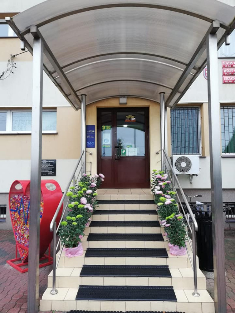 Pomoc gminy Ulan-Majorat dla sprzedających chryzantemy