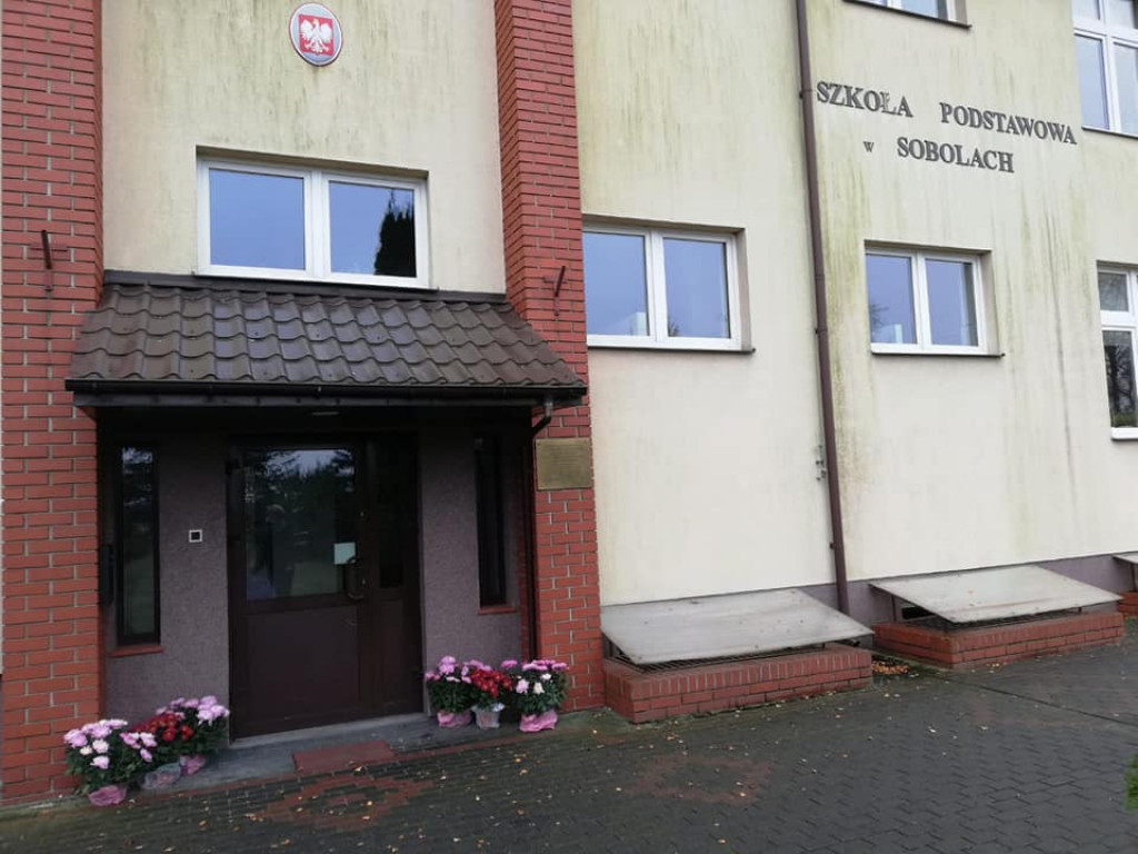 Pomoc gminy Ulan-Majorat dla sprzedających chryzantemy