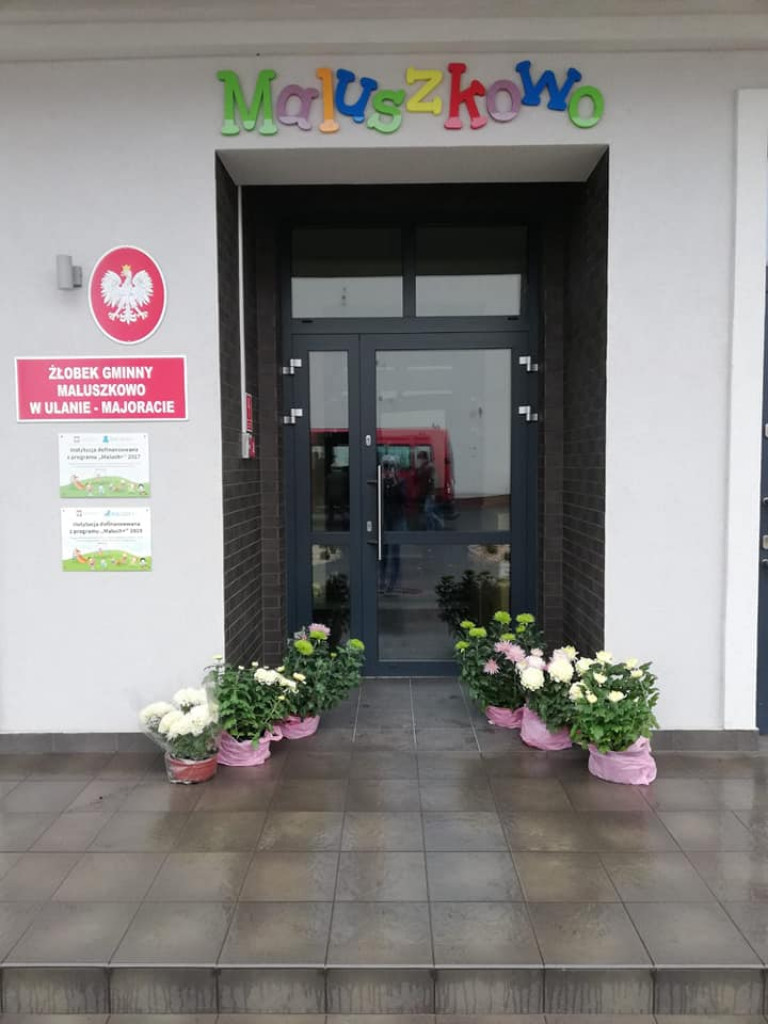 Pomoc gminy Ulan-Majorat dla sprzedających chryzantemy