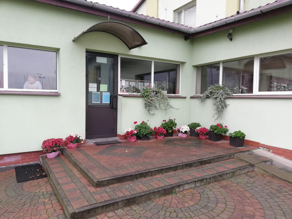 Pomoc gminy Ulan-Majorat dla sprzedających chryzantemy