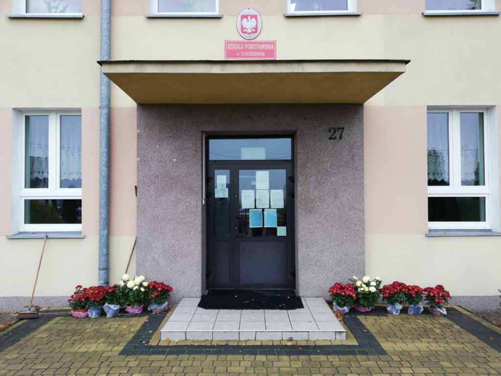 Pomoc gminy Ulan-Majorat dla sprzedających chryzantemy