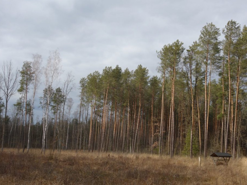 Gmina Kąkolewnica - zdjęcia