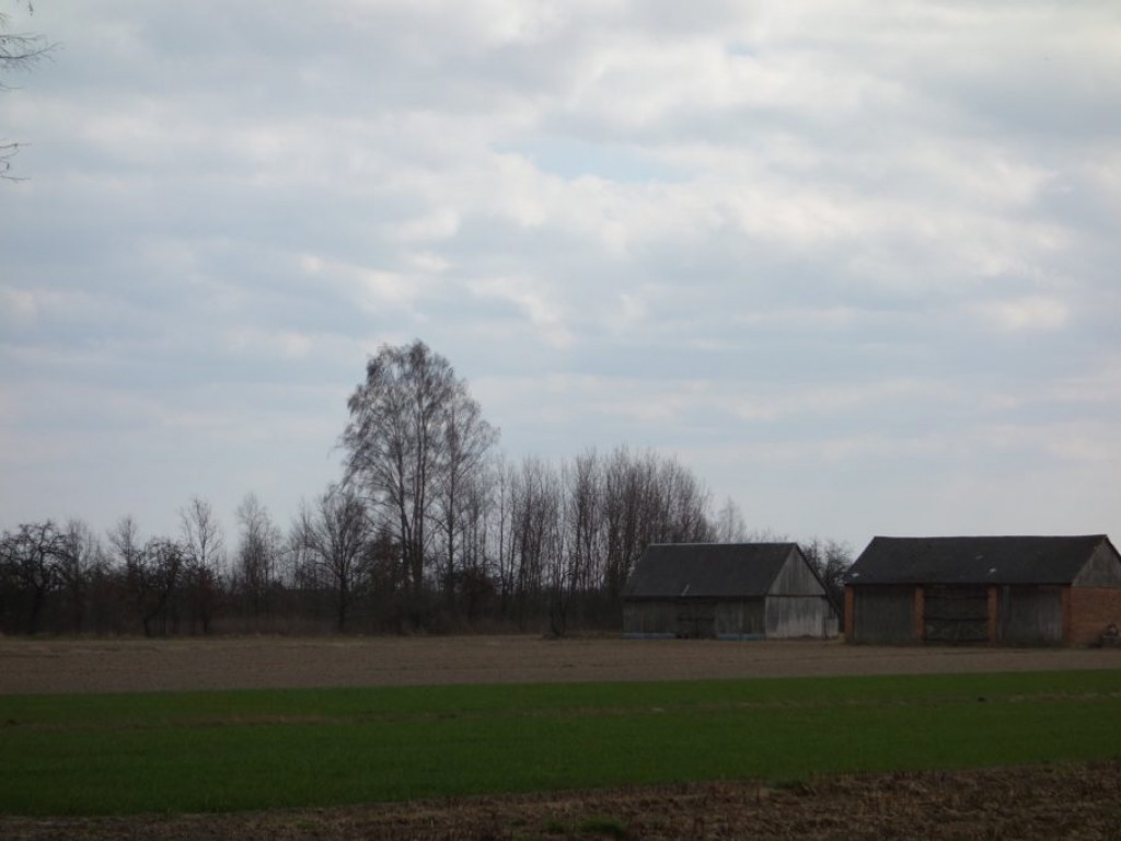 Gmina Kąkolewnica - zdjęcia