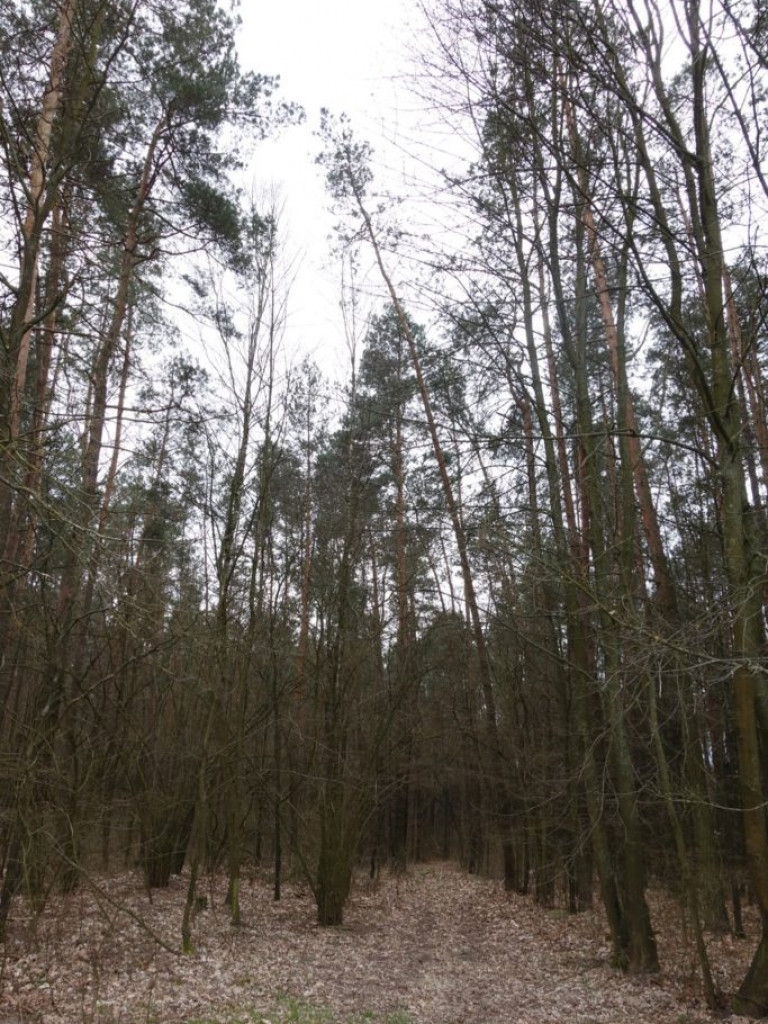 Gmina Kąkolewnica - zdjęcia