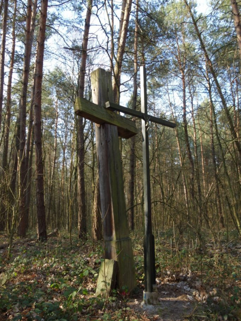 Gmina Kąkolewnica - zdjęcia