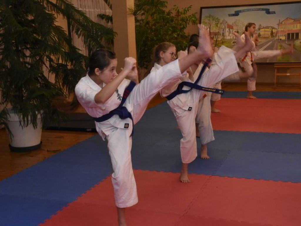 Egzamin na wyższe stopnie karate w Kąkolewnicy