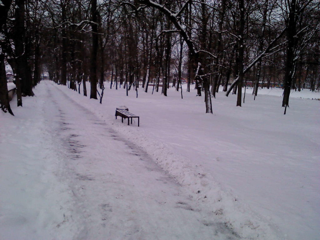 Radzyń w zimowej szacie