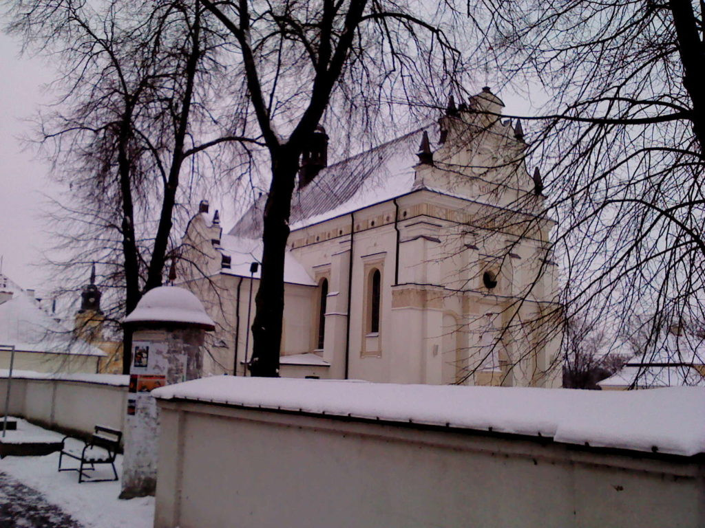 Radzyń w zimowej szacie