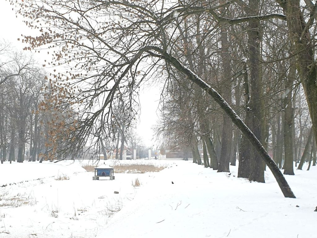 Planowane porządki w parku