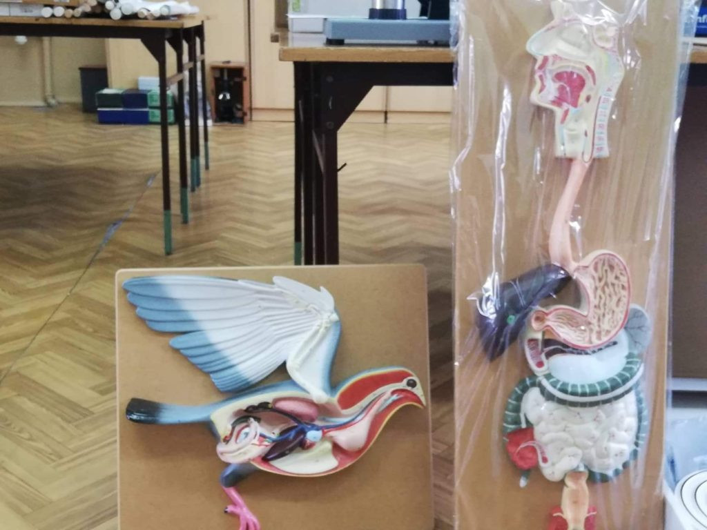 Nowe pomoce dydaktyczne w SP w Turowie