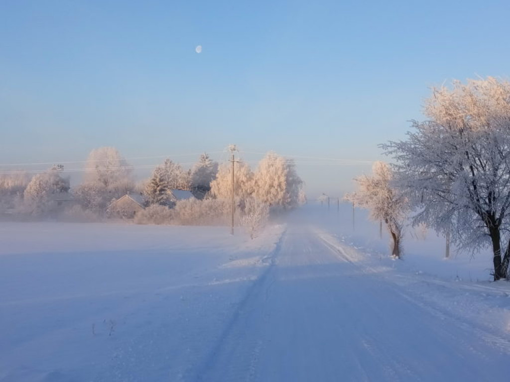 Wyniki konkursu fotograficznego 