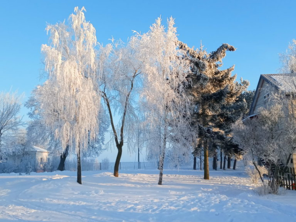 Wyniki konkursu fotograficznego 