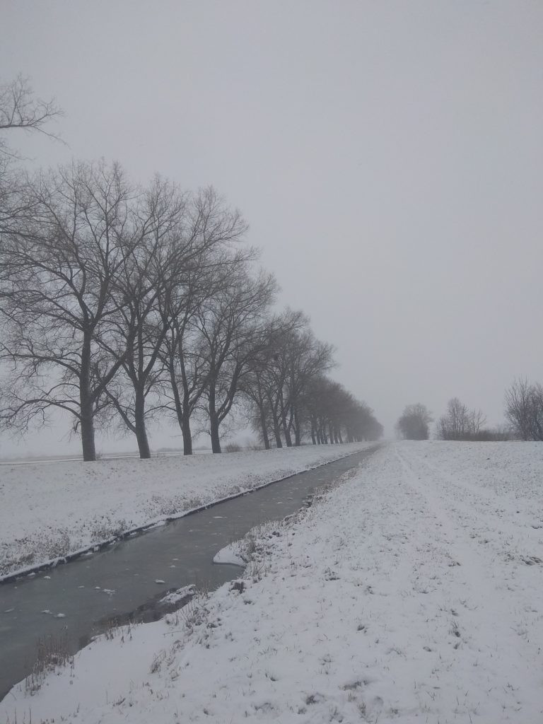 Wyniki konkursu fotograficznego 