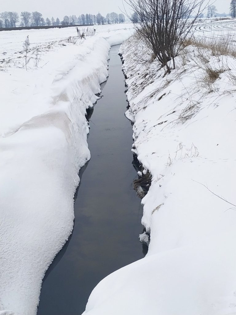 Wyniki konkursu fotograficznego 
