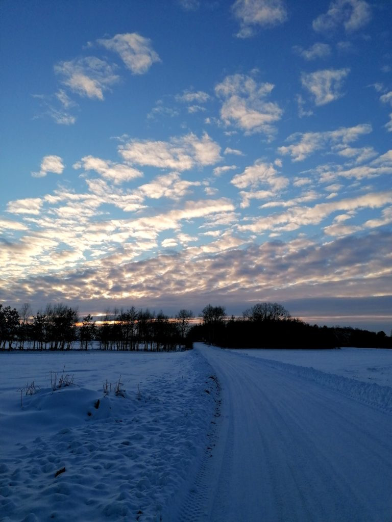 Wyniki konkursu fotograficznego 