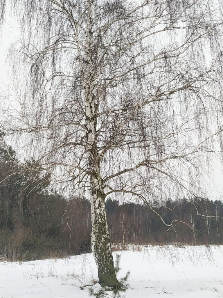 Wyniki konkursu fotograficznego 