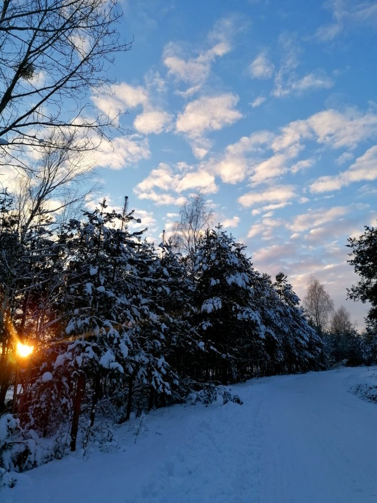 Wyniki konkursu fotograficznego 
