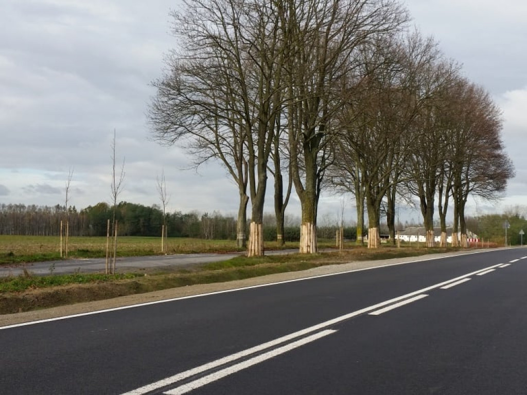Przebudowa drogi z Radzynia do Żminnego