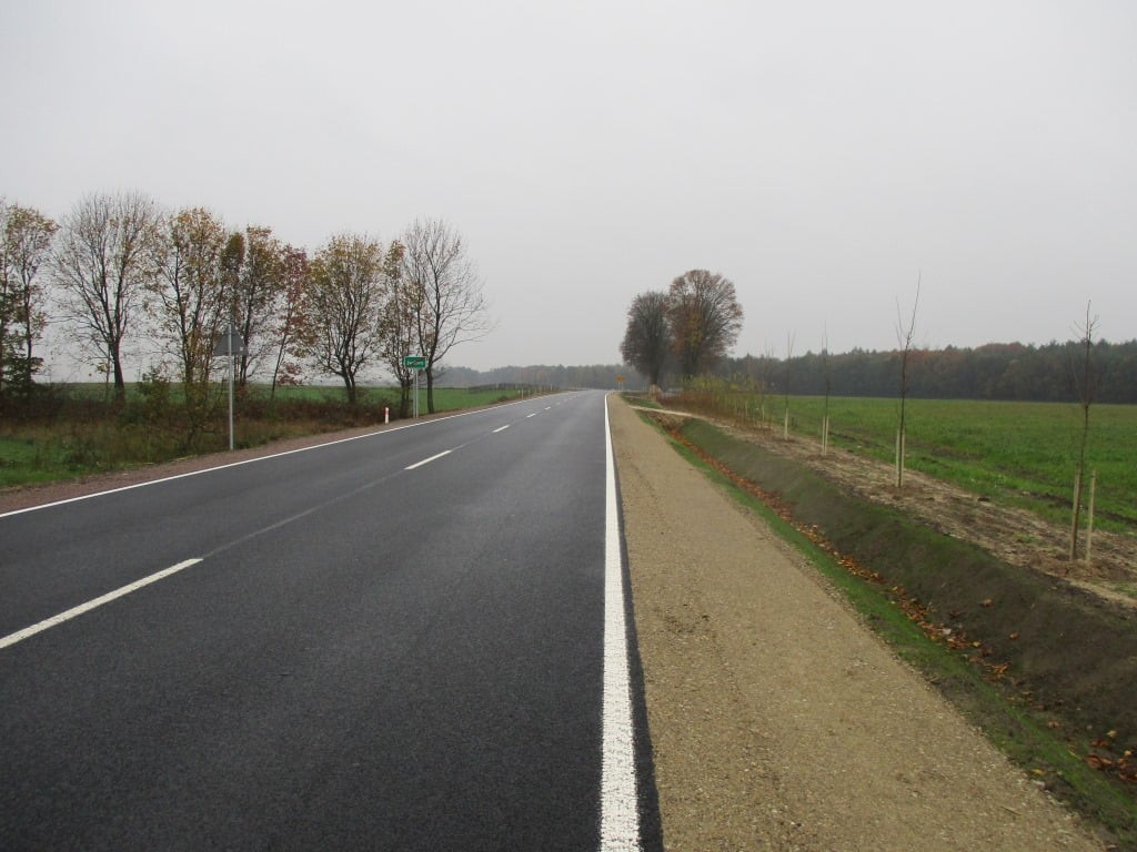 Przebudowa drogi z Radzynia do Żminnego