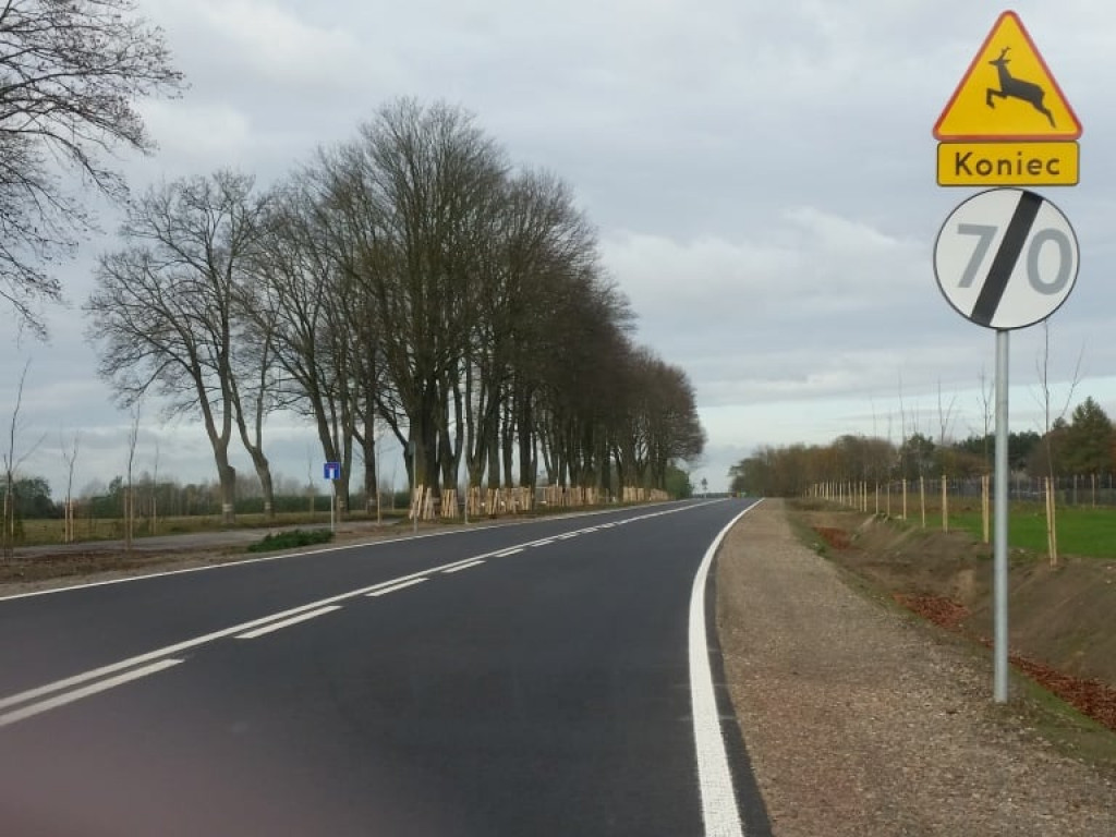 Przebudowa drogi z Radzynia do Żminnego