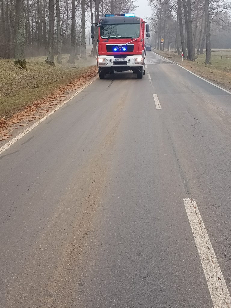 Usuwanie zagrożenia z drogi krajowej nr 63