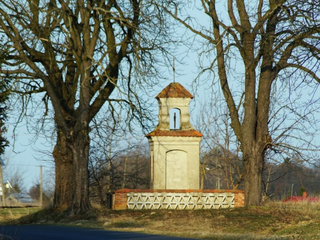Ptaki w dolinie Tyśmienicy - zdjęcia