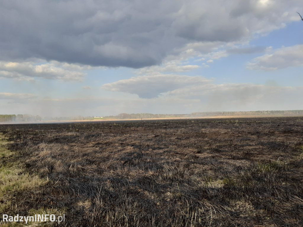 Pożar trawy w Czemiernikach