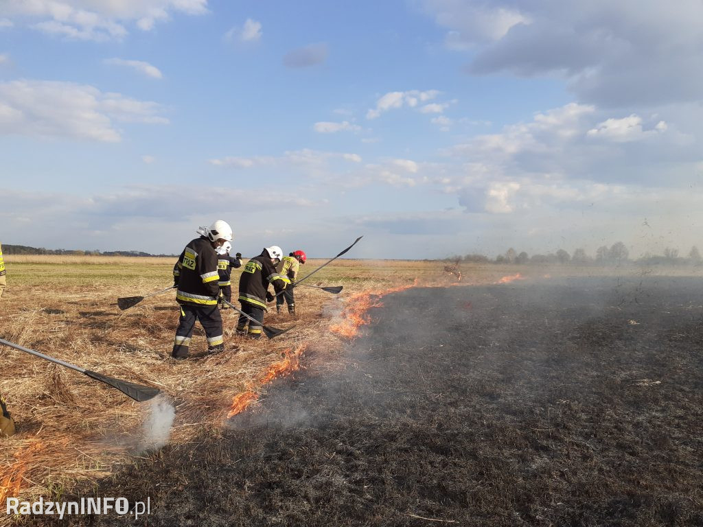 Pożar trawy w Czemiernikach