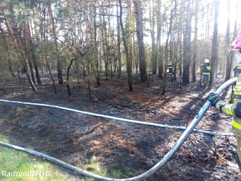Pożar lasu w Stanisławowie