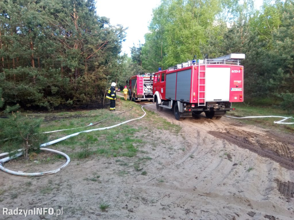 Pożar lasu w Stanisławowie