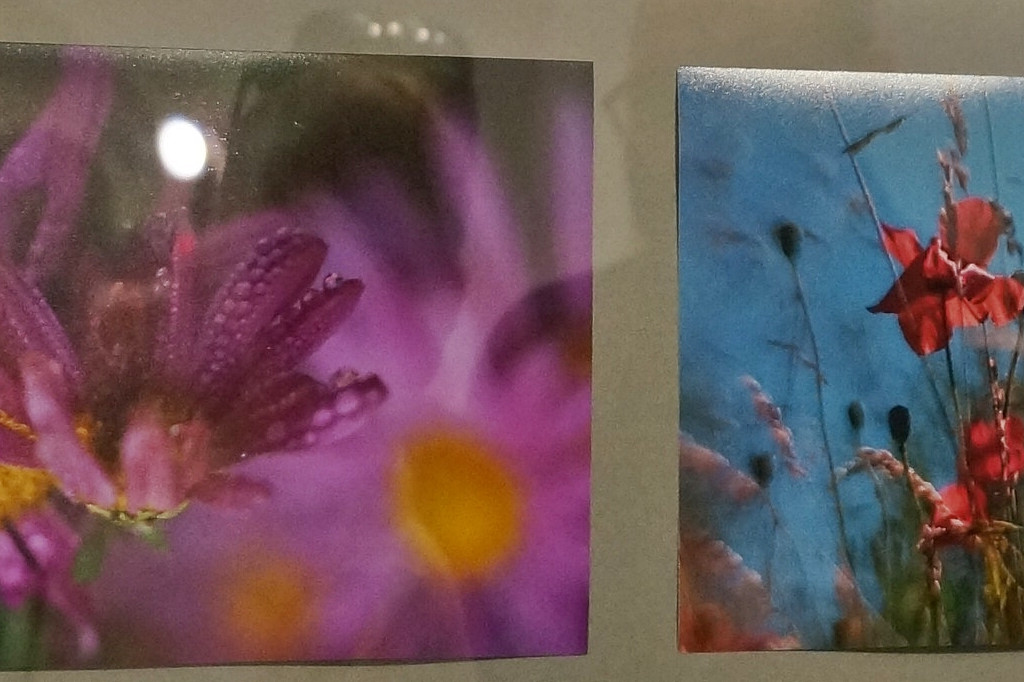 V Radzyńskie Dni Fotografii