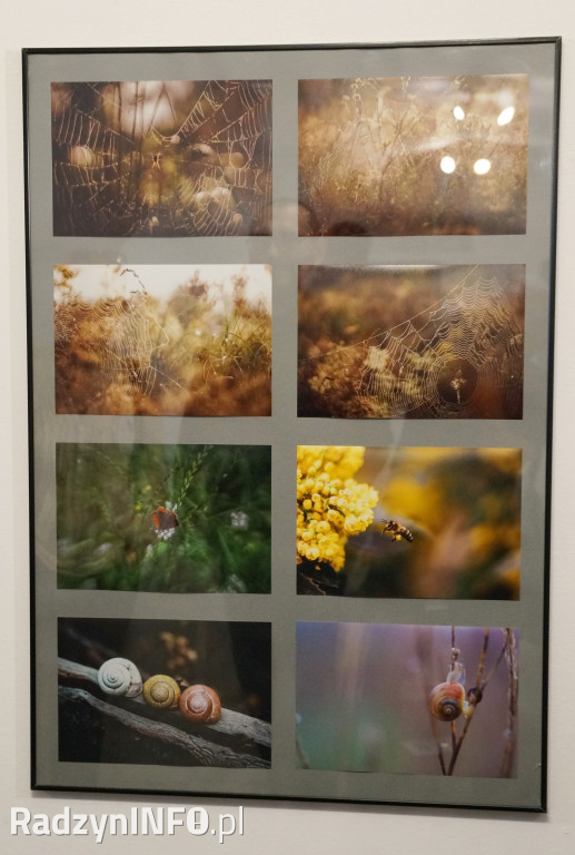 V Radzyńskie Dni Fotografii