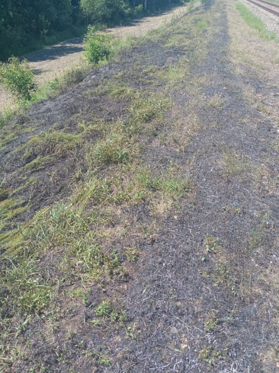 Pożar przy torach w Zakrzewie