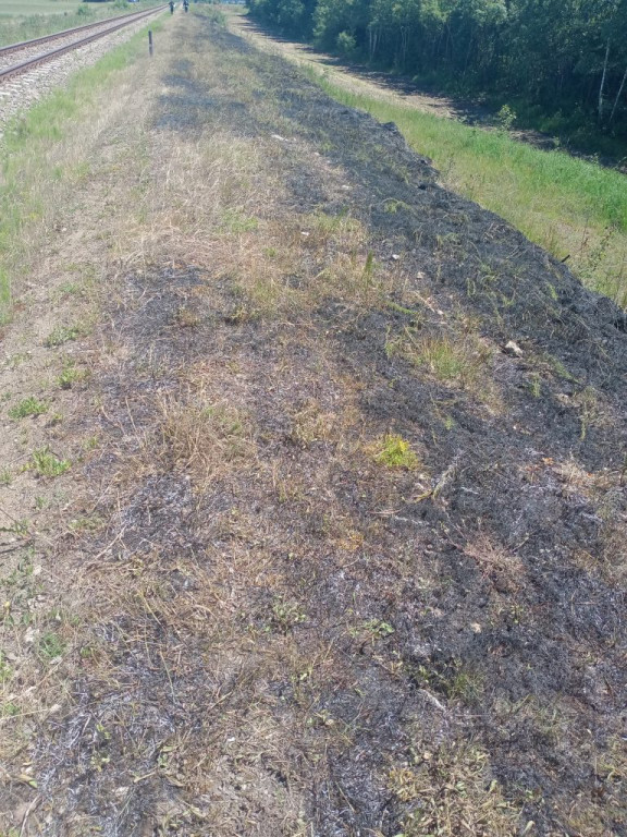Pożar przy torach w Zakrzewie