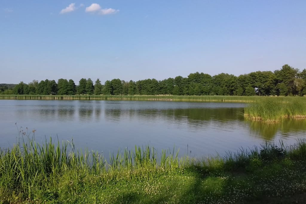 Czerwcowe wycieczki Radzyńskiej Grupy Rowerowej